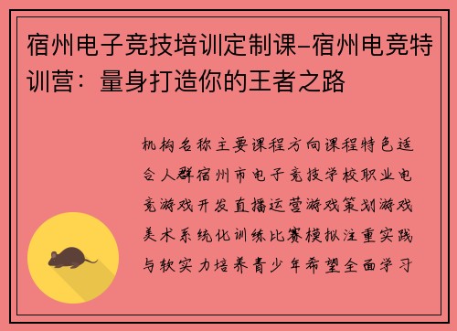 宿州电子竞技培训定制课-宿州电竞特训营：量身打造你的王者之路